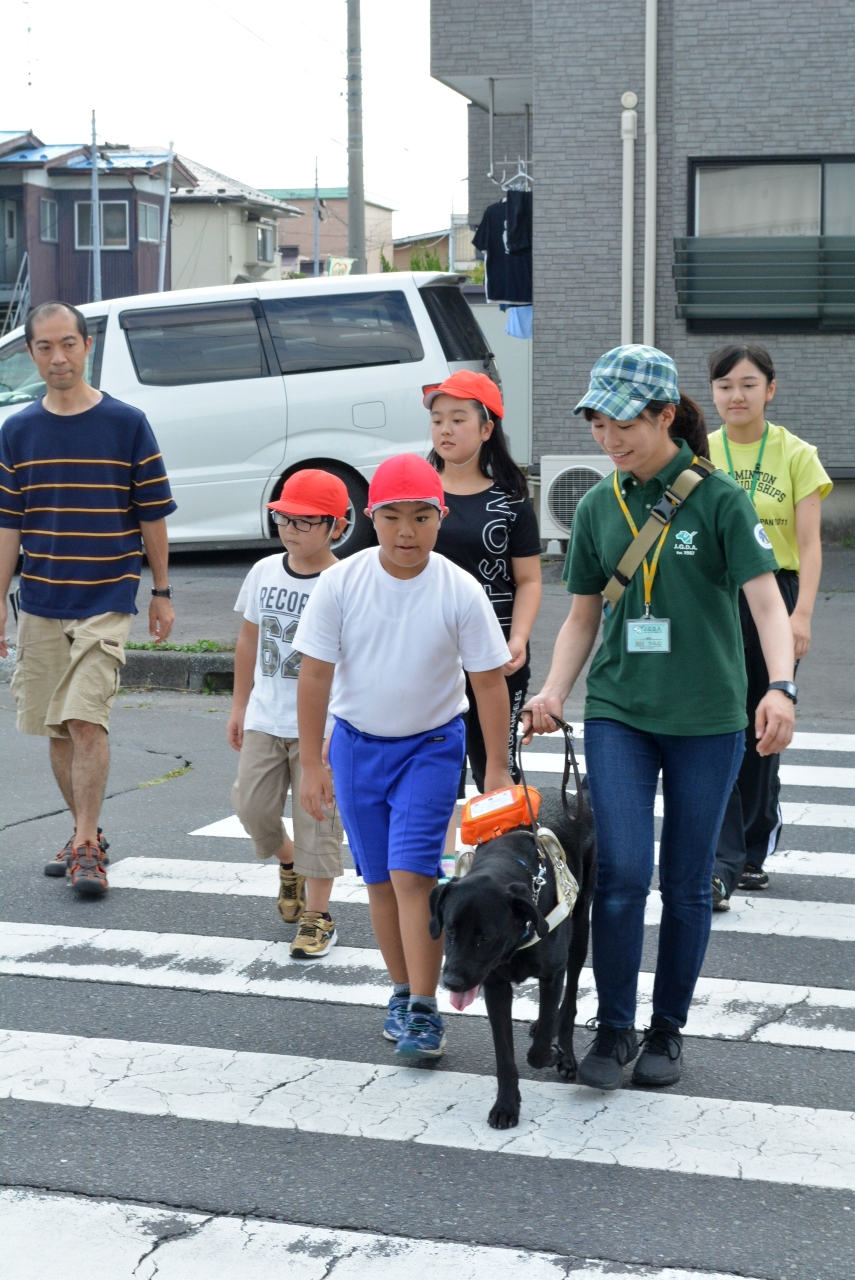 実際に横断歩道の歩行練習をする児童ら