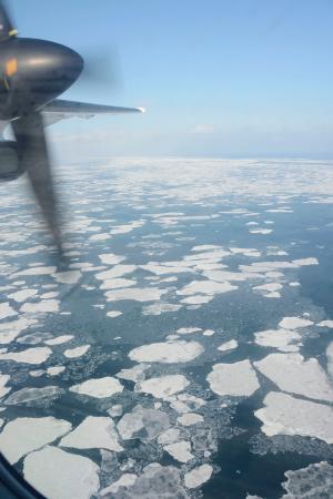 オホーツク海に広がる流氷=16日(第1管区海上保安本部の航空機から)